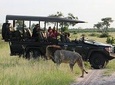 chobe Day trip
