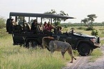 chobe Day trip