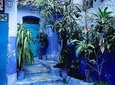 From FES to CHEFCHAOUEN Private day tour - BEST local experience | Private tour