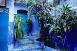 From FES to CHEFCHAOUEN Private day tour - BEST local experience | Private tour