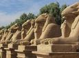 Luxor East Bank Private Tour: Karnak Temple - Luxor Temple
