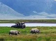 1 Day Private Safari in Ngorongoro Crater National park