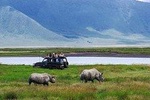 1 Day Private Safari in Ngorongoro Crater National park