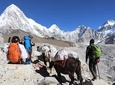 Everest Base Camp Trek - 12 days