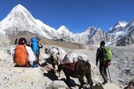 Everest Base Camp Trek - 12 days