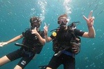 PADI Scuba Diver Course in Koh Phangan