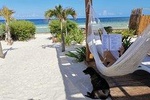 Costa Maya Premium Beach Break Experience Transportation, Food & Drinks Included