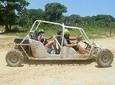 Family Buggy - Suzuka Tours Punta Cana