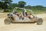 Family Buggy - Suzuka Tours Punta Cana