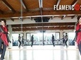 Flamenco Dance Private Classes in Marbella: Rumba, Sevillanas or Bulerías