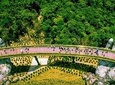 Golden Bridge trip and buffet lunch in Bana Hills from Da nang