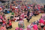 Hanoi - Sapa - Bac Ha Market 2days/1night by Bus( Depart on Sat)