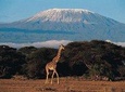 6 days Marangu RouteMount Kilimanjaro Trekking 