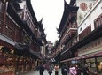 Shanghai Private Half-Day Tour Featuring Local Lifestyle including Yu Garden