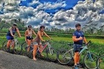 Afternoon Downhill Cycling Tour