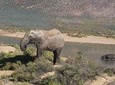 Full Day Safari Aquila Game Reserve - Cape Town