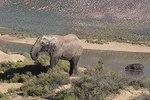 Full Day Safari Aquila Game Reserve - Cape Town