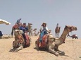 Pyramids and Sphinx Tour with Nile River Boat Cruise including the entrance fees