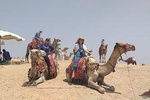 Pyramids and Sphinx Tour with Nile River Boat Cruise including the entrance fees