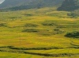 Sapa private tour 2 days 1 night