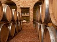 Barolo & CO: visit and tasting