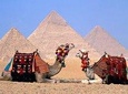 Private Tour to Giza Pyramids, Memphis and Sakkara (Full Day Trip)