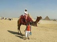Half Day tour to .The Pyramids of Giza