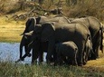 5 Day Victoria Falls and Hwange National Park Accommodated Safari Tour