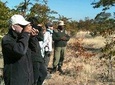  Rhino walking Safari
