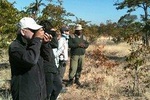  Rhino walking Safari