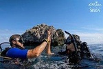 Scuba Diving Trip to Sail Rock From Koh Phangan (Certified Divers)