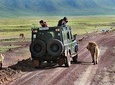 2 Day Private Safari in Lake Manyara and Ngorongoro Crater National Park