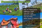 Nuwara Eliya Day Tour