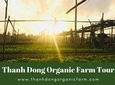 Hoi An Rural Life And Cooking At Organic Farm