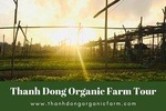 Hoi An Rural Life And Cooking At Organic Farm