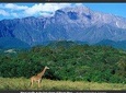 1-Day Arusha National Park Day-Tour