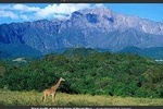 1-Day Arusha National Park Day-Tour