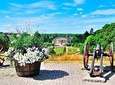 Stockholm Tour by LUXURY car Uppsala and Sigtuna with PRIVATE guide