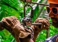 Cave Tubing & Zip Line