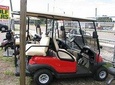 Golf Cart Adventure
