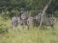 Discover Nature at Shai Hills
