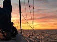 Sailing Tour of New York and Brooklyn
