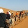 5 Days trip from FEZ to ESSAOUIRA spending a night in MERZOUGA and TODRA GORGES