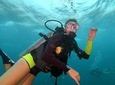 PADI Open Water Diver Course in Koh Phangan