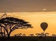 Tanzania wildlife & Cultural Safari- 11days 
