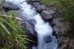 Panoramic Tour