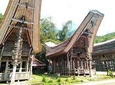 Toraja & Beyond 8D 7N