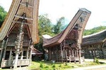 Toraja & Beyond 8D 7N