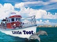 Little Toot Dolphin Adventure at Clearwater Beach 