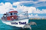 Little Toot Dolphin Adventure at Clearwater Beach 
